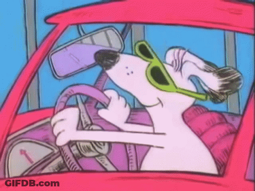 A Dog Wearing Sunglasses Is Driving A Pink Car GIF