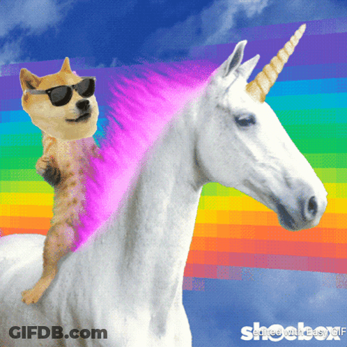 A Dog Wearing Sunglasses Rides On The Back Of A White Unicorn GIF