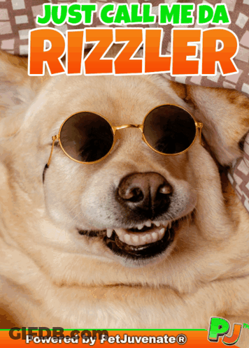A Dog Wearing Sunglasses With The Words Just Call Me Da Rizzler GIF