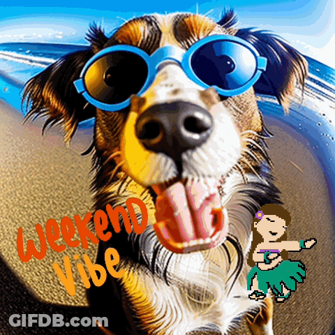 A Dog Wearing Sunglasses With The Words Weekend Vibe Written Below It GIF