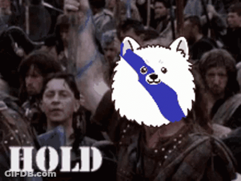 A Dog With A Blue And White Stripe On Its Face Is Surrounded By A Crowd And The Word Hold Is On The Bottom Right GIF