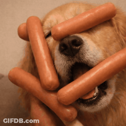 A Dog With A Bunch Of Hot Dogs Covering His Eyes GIF