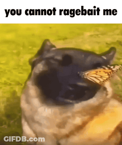 A Dog With A Butterfly In Its Mouth And The Words You Cannot Ragebait Me Above It GIF