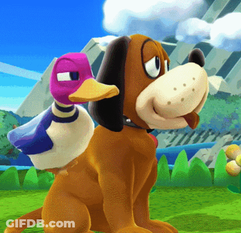 A Dog With A Duck On Its Back Is Sitting In The Grass GIF