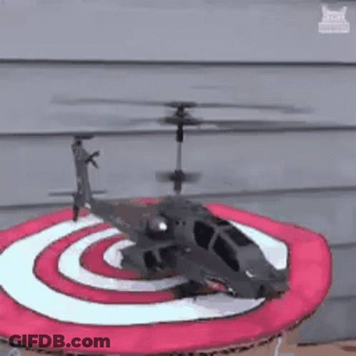 A Dog With A Helicopter On Top Of Its Head . GIF