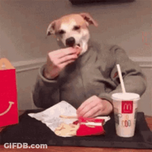 A Dog With A Human Face Is Eating A Hamburger At A Mcdonald 'S GIF