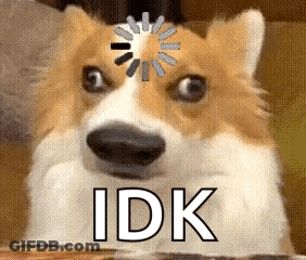 A Dog With A Loading Circle On Its Head And The Word Idk Below It GIF