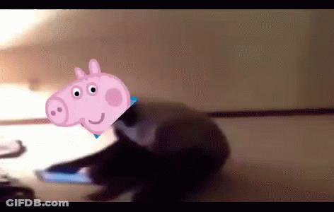 A Dog With A Picture Of Peppa Pig On It 'S Head . GIF