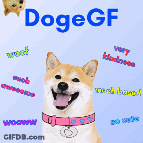 A Dog With A Pink Collar Is Surrounded By Words Such As Wooww And Very Kindness GIF