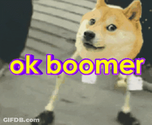 A Dog With A Prosthetic Leg Is Standing In Front Of The Words Ok Boomer GIF