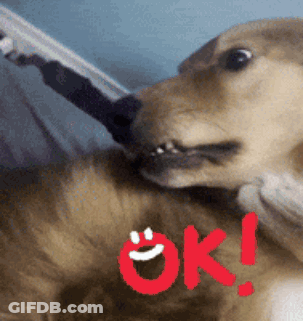 A Dog With A Toothbrush In Its Mouth And The Word Ok In Red GIF