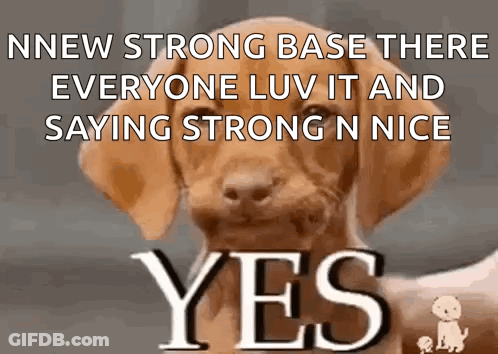 A Dog With A Yes Sign On It GIF