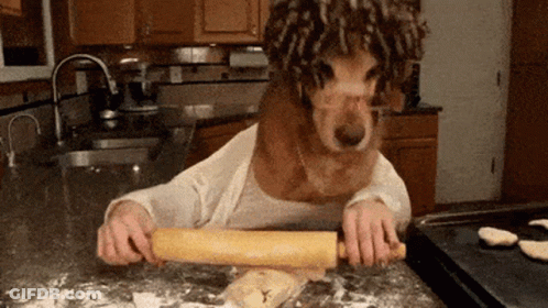 A Dog With Curly Hair Is Rolling Out Dough In A Kitchen GIF