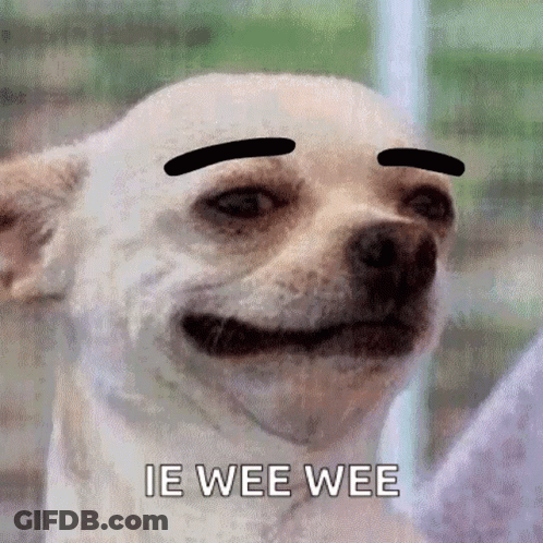A Dog With Fake Eyebrows On Its Face And The Words Ie Wee Wee Written Below It . GIF