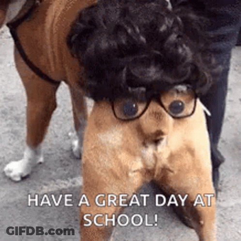 A Dog With Glasses And A Wig On Its Head Is Standing Next To A Person . GIF
