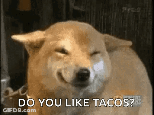 A Dog With Its Eyes Closed And The Words Do You Like Tacos Below It GIF