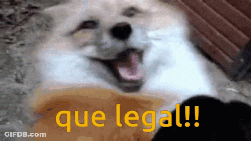 A Dog With Its Mouth Open And The Words Que Legal Written In Yellow GIF