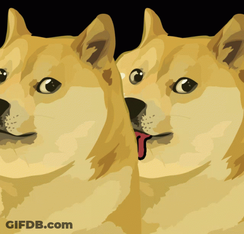 A Dog With Its Tongue Hanging Out Is Next To Another Dog With Its Tongue Hanging Out GIF