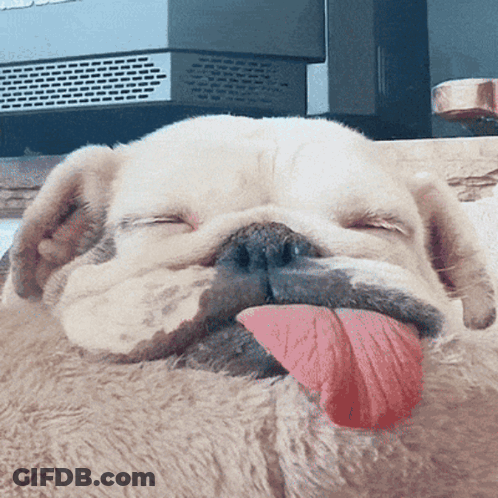 A Dog With Its Tongue Hanging Out Is Sleeping GIF