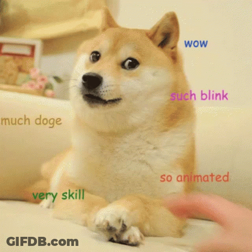 A Dog With The Words Wow Such Blink And So Animated Written On It GIF
