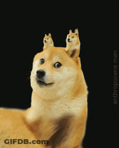 A Dog With Two Smaller Dogs On Its Head And The Words Anthropocene Man Below GIF