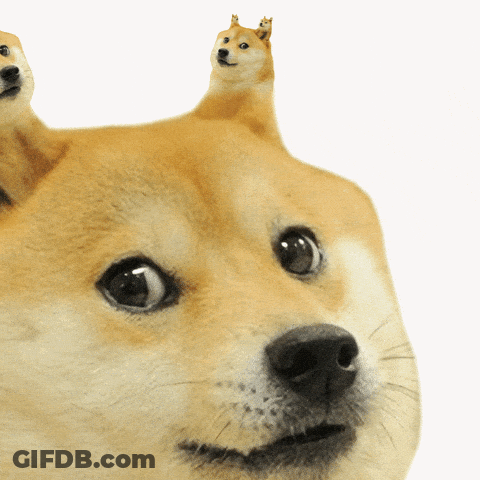 A Dog With Two Smaller Dogs On Its Head Looking At The Camera GIF