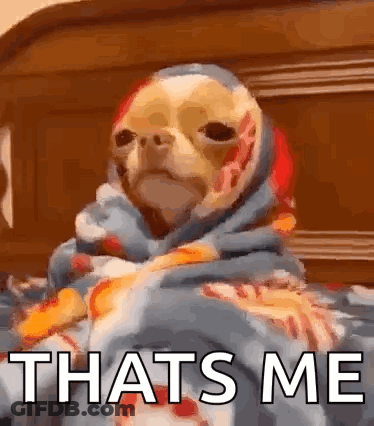 A Dog Wrapped In A Blanket With The Words `` Thats Me '' On It . GIF