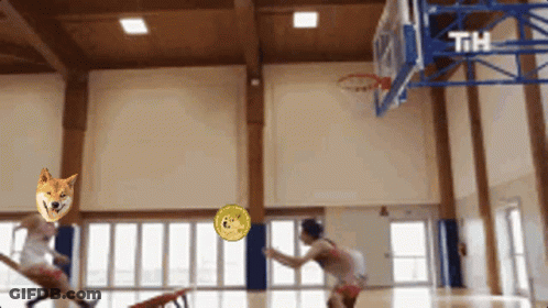A Doge Coin Is Being Thrown Into A Basketball Hoop In A Gym GIF