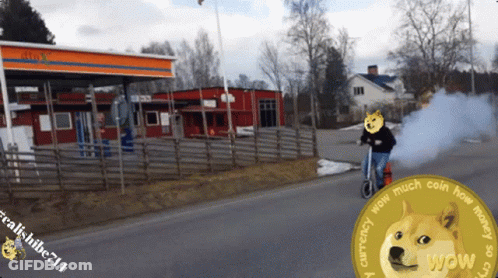 A Doge Coin That Says Wow Currency On It GIF