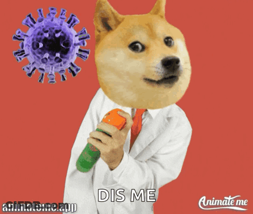 A Doge Holding A Spray Bottle In Front Of A Virus That Says Dis Me On The Bottom GIF