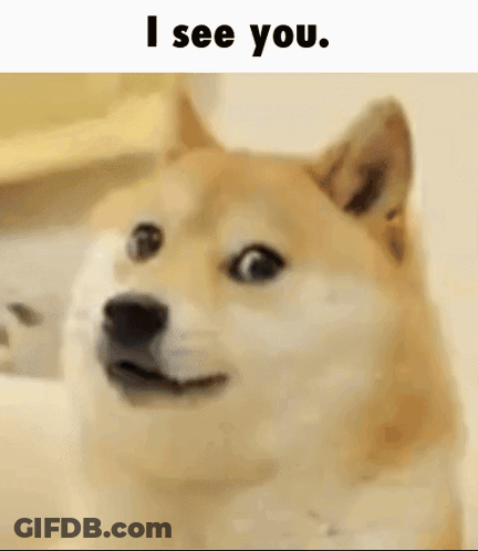 A Doge Is Looking At The Camera With The Words `` I See You '' Written Above It . GIF