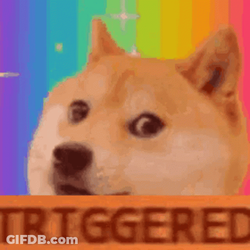 A Doge Is Looking Out Of A Box With The Word Triggered Written On It . GIF