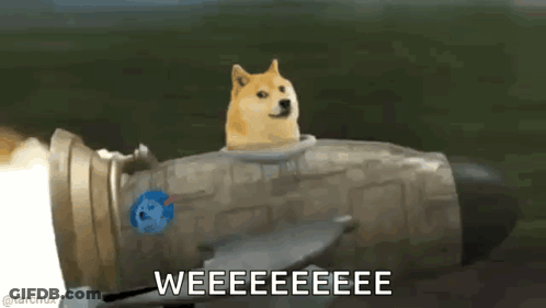 A Doge Is Riding On The Back Of A Rocket With The Words Weeeeeeeee Written Below It GIF
