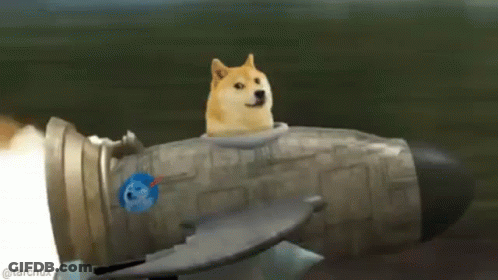 A Doge Is Sitting On Top Of A Rocket With The Earth In The Background . GIF