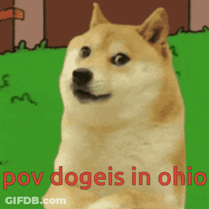A Doge Says " Pov Dogeis In Ohio " In Red GIF