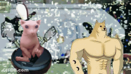 A Doge Standing Next To A Cat On A Vacuum Cleaner GIF