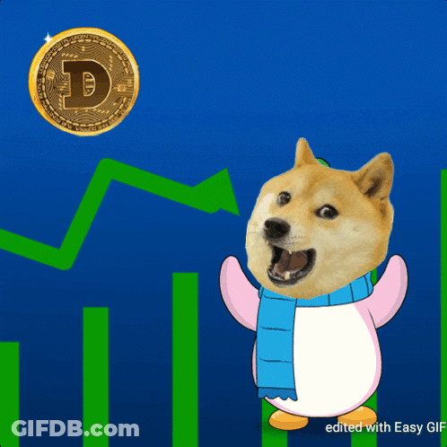A Doge Wearing A Scarf Is Standing In Front Of A Coin That Says ' D ' On It GIF