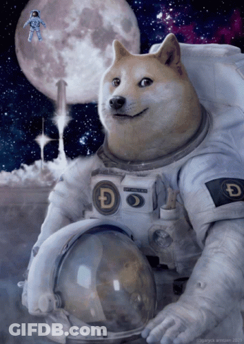 A Doge Wearing A Space Suit With A Sticker That Says Doge GIF