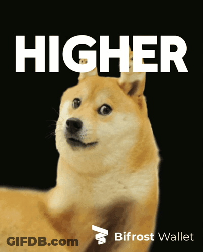 A Doge With A Black Background And The Word Higher On It GIF