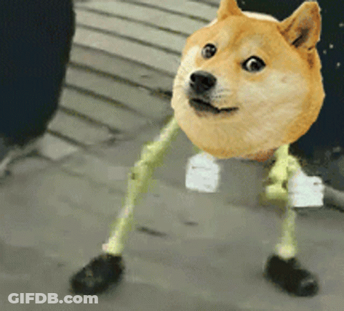 A Doge With Arms And Legs Is Standing On A Sidewalk . GIF