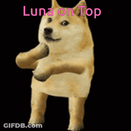 A Doge With The Words Luna On Top Written Above It GIF