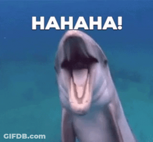 A Dolphin Is Laughing With Its Mouth Open And The Words ' Hahaha ! ' Written Above It . GIF