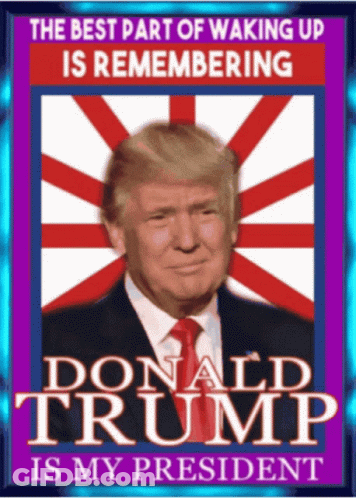 A Donald Trump Poster That Says The Best Part Of Waking Up Is Remembering GIF