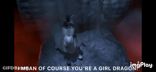 A Donkey In A Cave With The Words I Mean Of Course You 'Re A Girl Dragon Below It GIF