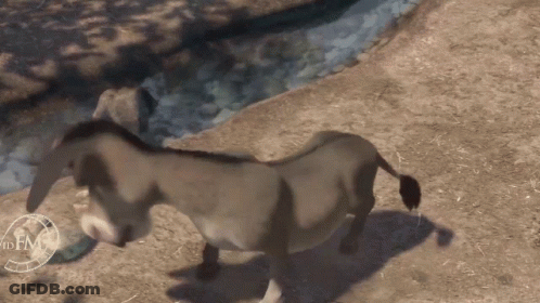 A Donkey Is Standing In The Dirt Near A River With A Clock On The Ground GIF