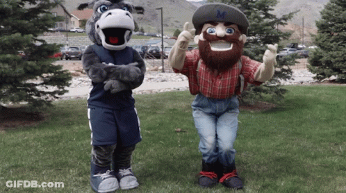 A Donkey Mascot And A Cowboy Mascot Are Standing Next To Each Other In The Grass GIF