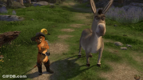 A Donkey Standing Next To A Cat With The Words Yo Te Veo Igual De Burro GIF