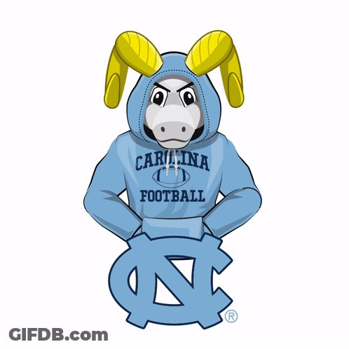 A Donkey Wearing A Blue Hoodie That Says Carolina Football On It GIF