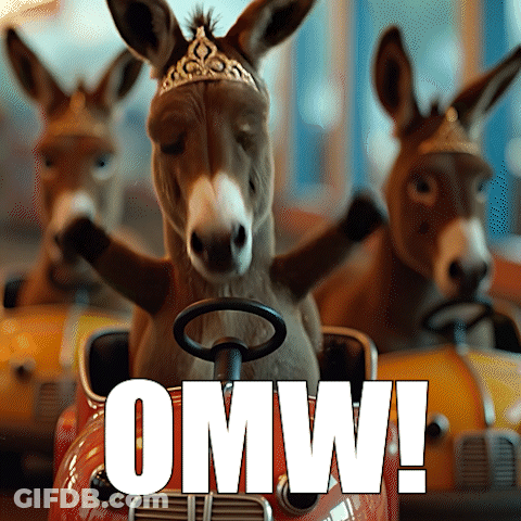 A Donkey Wearing A Tiara Is Driving A Toy Car With The Word Omw Written On The Bottom GIF