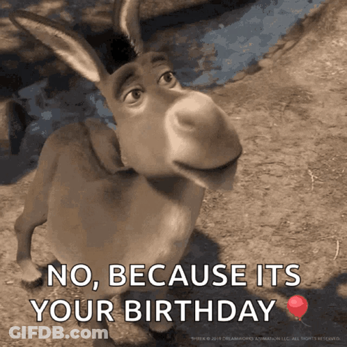 A Donkey With The Words No Because Its Your Birthday On The Bottom GIF